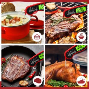 Meat Thermometer Review: Instant, Wireless, MEATER Plus