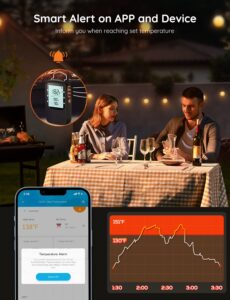 Govee Bluetooth Meat Thermometer review