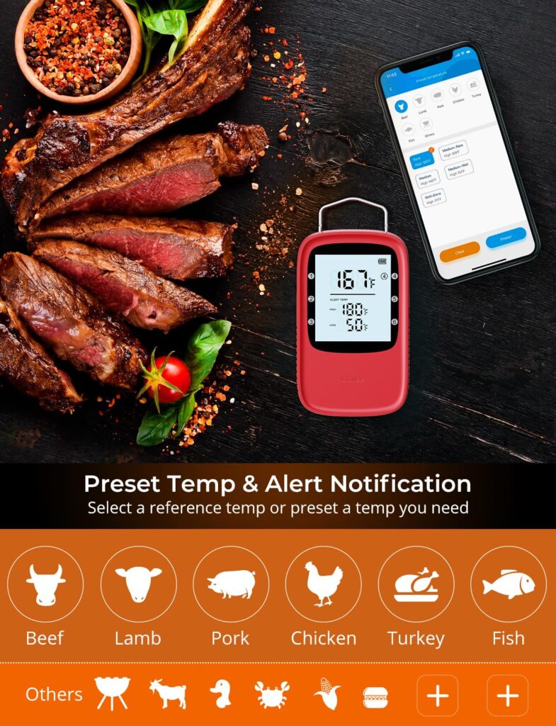 Govee Bluetooth Meat Thermometer, Wireless Meat Thermometer for Smoker Oven, Digital Grill Thermometer with 2 Probes, Timer Mode, Smart LCD Backlight BBQ Thermometer for Cooking Turkey Fish Beef