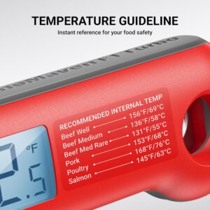 Professional Meat Thermometer Digital review