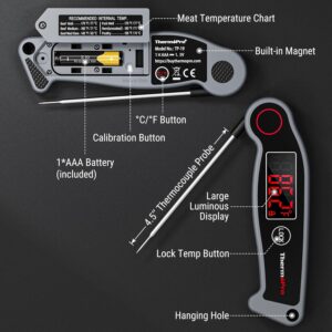 ThermoPro TP19 Waterproof Digital Meat Thermometer review